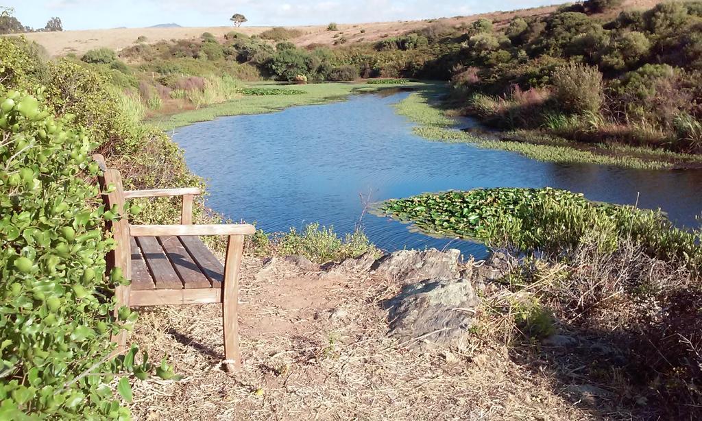 Herdade Do Pessegueiro Porto Covo Ngoại thất bức ảnh
